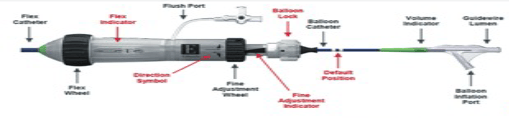 How to Deliver a Transcatheter Aortic Valve Replacement (TAVR) Delivery
